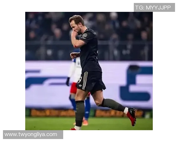 汉堡队逐渐崛起，积分榜稳步攀升